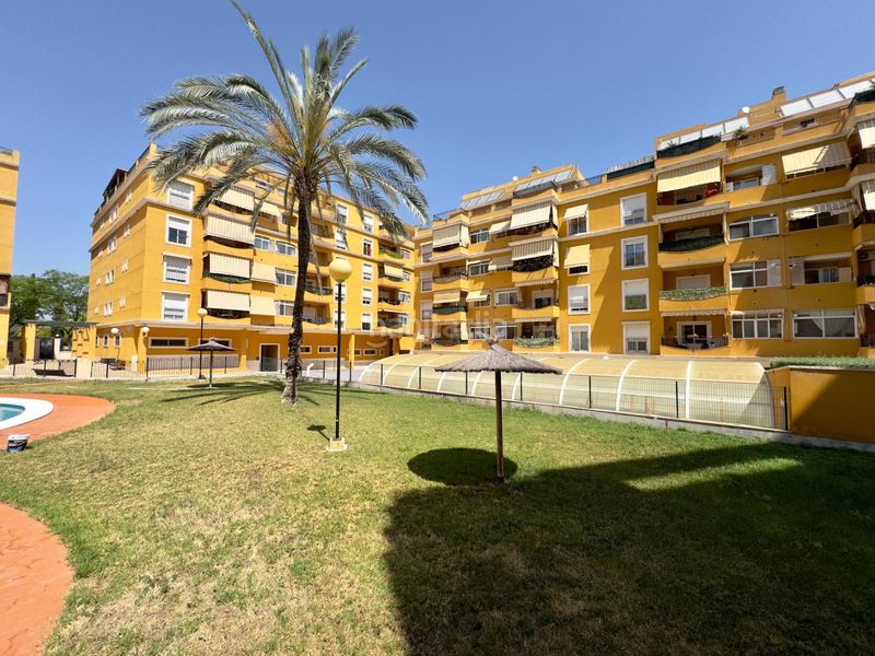 Foto c566a168-8ec2-431a-aa3d-53ae00cbf31c. Pis amb calefacció aparcament piscina a La Coca-La Nia-Vistahermosa Aspe