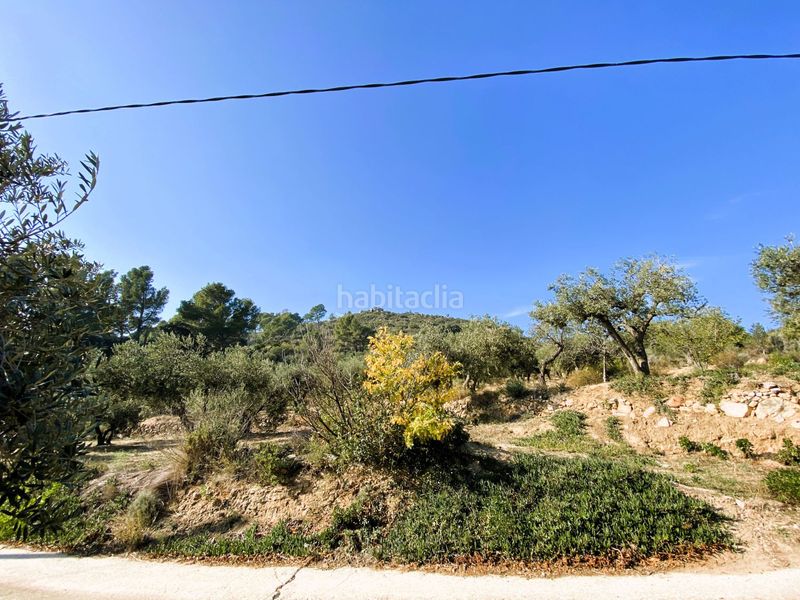 Foto 181f4ac8-5065-4a64-aa61-9043dd1ef016. Casale in de les valls in Borges del Camp (Les)