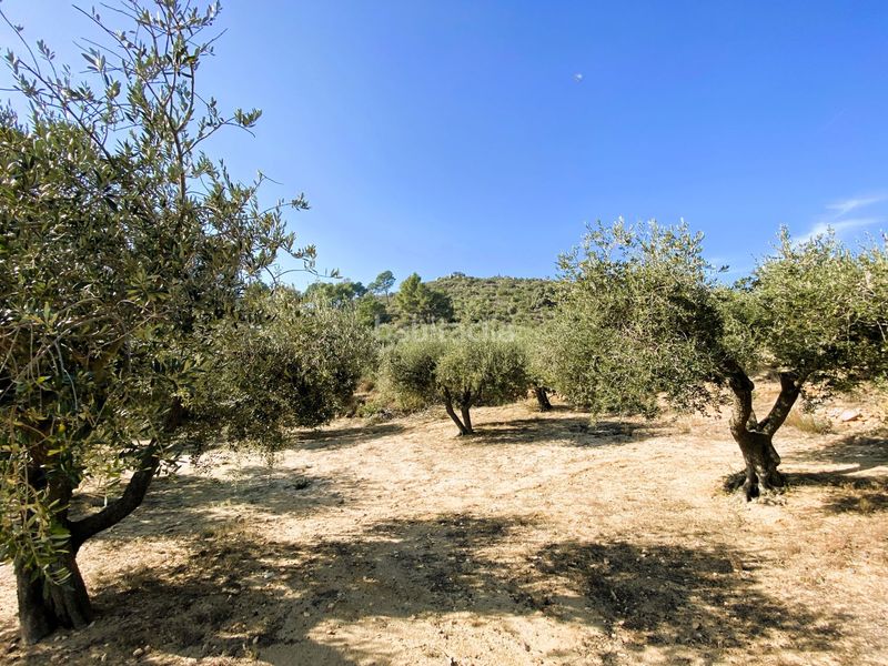 Foto 5f7289fe-adc5-4454-87f0-63946f38e248. Casale in de les valls in Borges del Camp (Les)