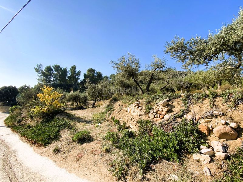Foto ccdba168-c543-4afd-b7a3-6b7b7569cba0. Casale in de les valls in Borges del Camp (Les)