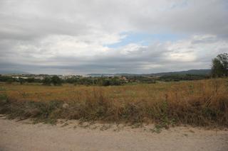 Fondo rustico in Camí can belitre 3