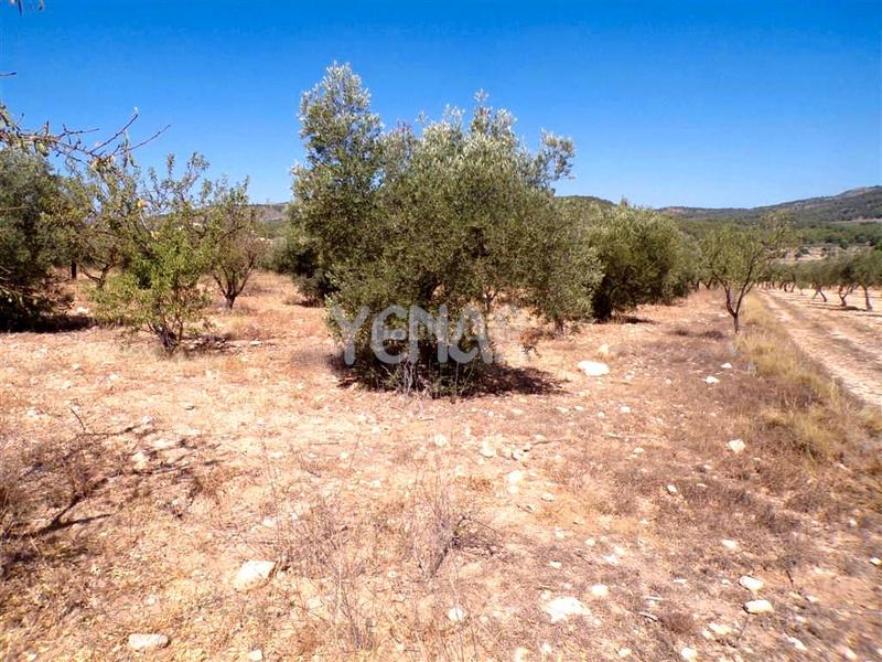 Foto bb039b10-4133-4239-9c9a-c704e1e05bb2. Finca rústica a Castalla