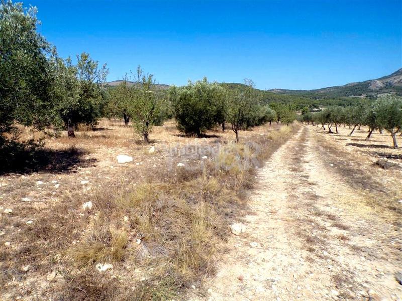 Foto d032405e-b692-4119-970e-39e2ef611470. Finca rústica a Castalla