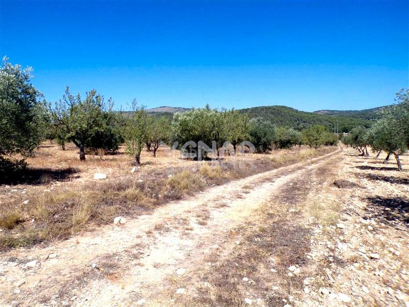 Foto e0e2e188-2b24-40a1-a3e5-fe3ef04512d1. Finca rústica a Castalla