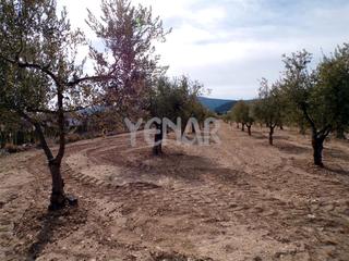 Rural plot in Castalla