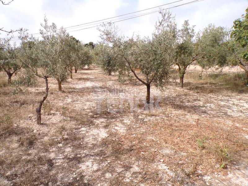 Foto 4806a006-ec61-4401-98ab-4686e37ade68. Chalet con piscina in Castalla