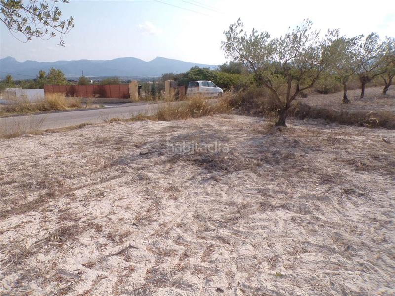 Foto 0031e4f4-f6a8-41b8-93b3-c810005d0476. Rural plot in Castalla