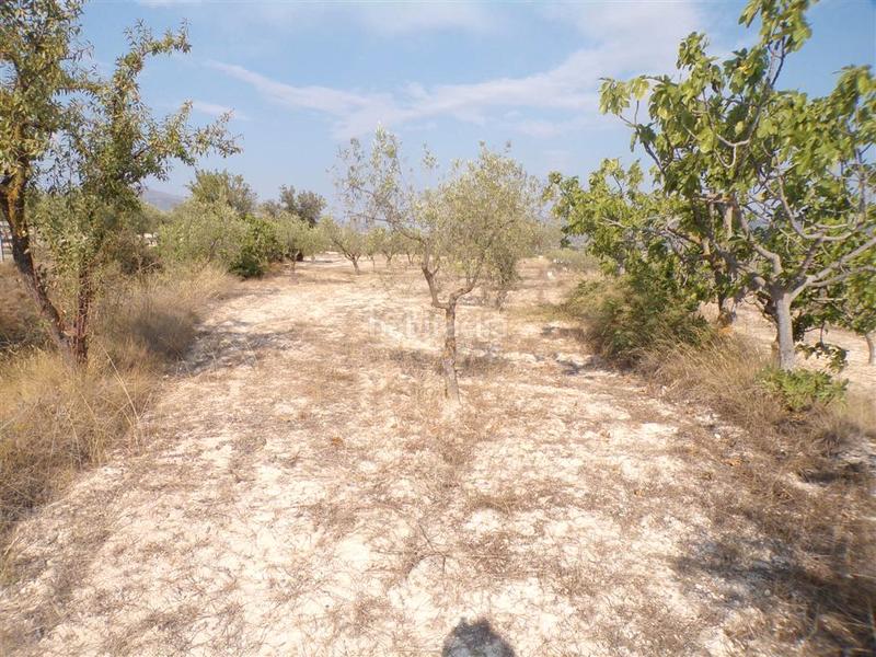 Foto 1099b926-c59d-4f2e-a3ba-67f2d2ae41df. Rural plot in Castalla