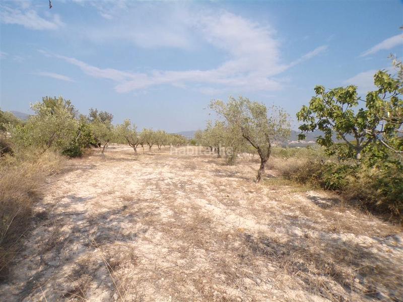 Foto 2224d119-16c9-446d-887d-53970502efbb. Rural plot in Castalla