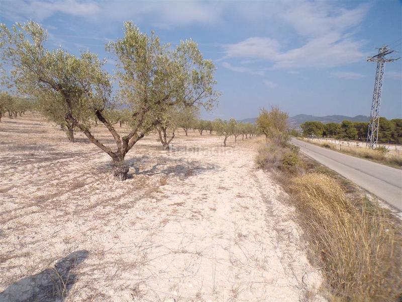 Foto 78447be6-1eda-40a3-8937-64c8928c429b. Rural plot in Castalla