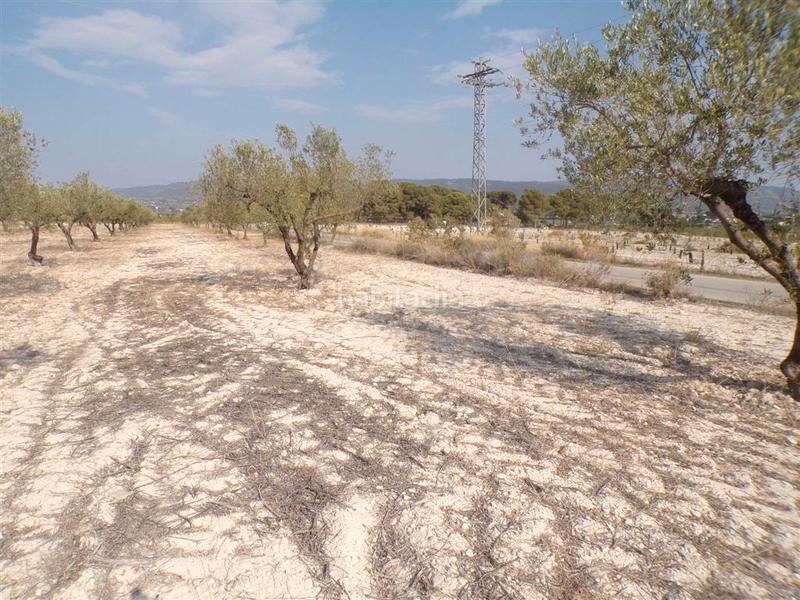 Foto a9919d62-51a1-4c6a-831d-b978b4311348. Rural plot in Castalla