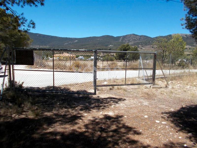 Foto 1e2ebf06-a7ab-4bb7-b4ba-5f869c7da3c7. Finca rústica terreno en Castalla