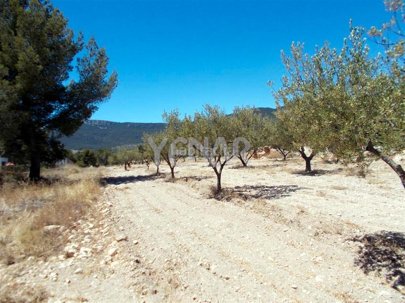 Foto 27394368-a214-471d-99ad-3b40dad7ea59. Finca rústica terreno en Castalla