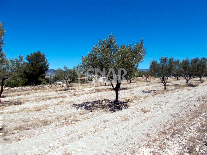 Foto 324834bd-234b-4563-a3c7-db9cfdb08a39. Finca rústica terreno en Castalla