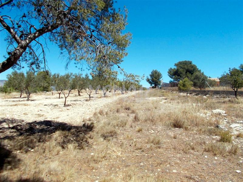 Foto acb395e6-ece8-4ef3-b2d5-1ea475626b4e. Finca rústica terreno en Castalla