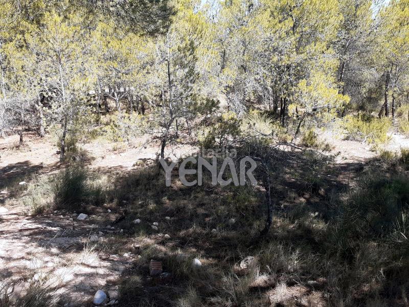 Foto 058c705e-d6ef-496f-bce5-023e17a59e60. Rural plot in Castalla