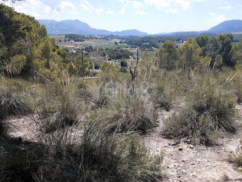 Foto 1ebba356-85f1-4eee-9845-25815e391860. Rural plot in Castalla