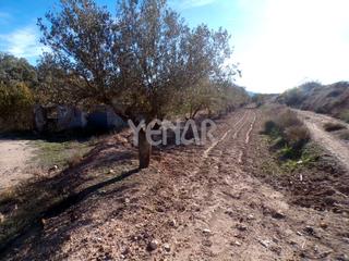 Finca rústica en Castalla. Terreno en castalla