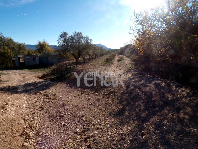 Foto 93ae9c1a-f3a9-4972-9132-cdbe764238ce. Rural plot in Castalla