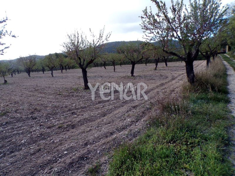 Foto 350cbf5e-7ba9-472a-ab0a-51a3c0f1455b. Terreny residencial a Castalla