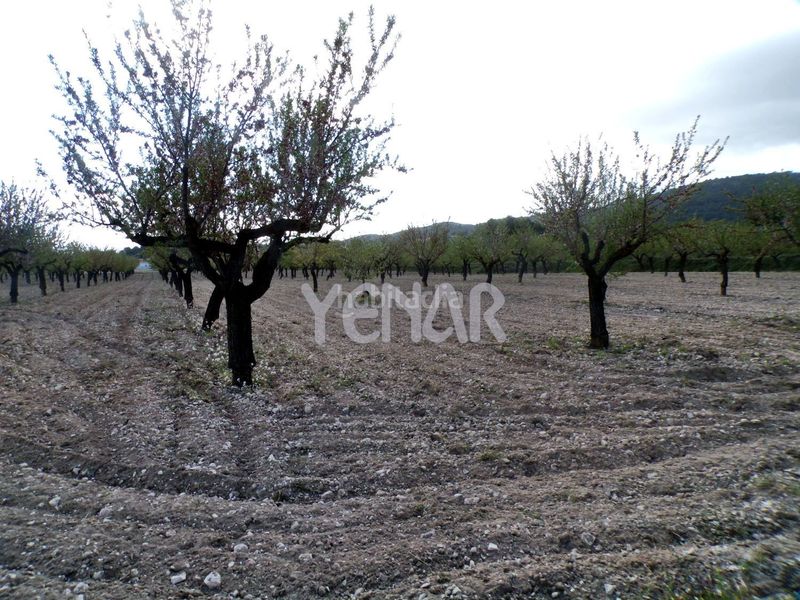 Foto 600fb49d-ea32-42e7-a6f3-64ec4f585859. Terreny residencial a Castalla
