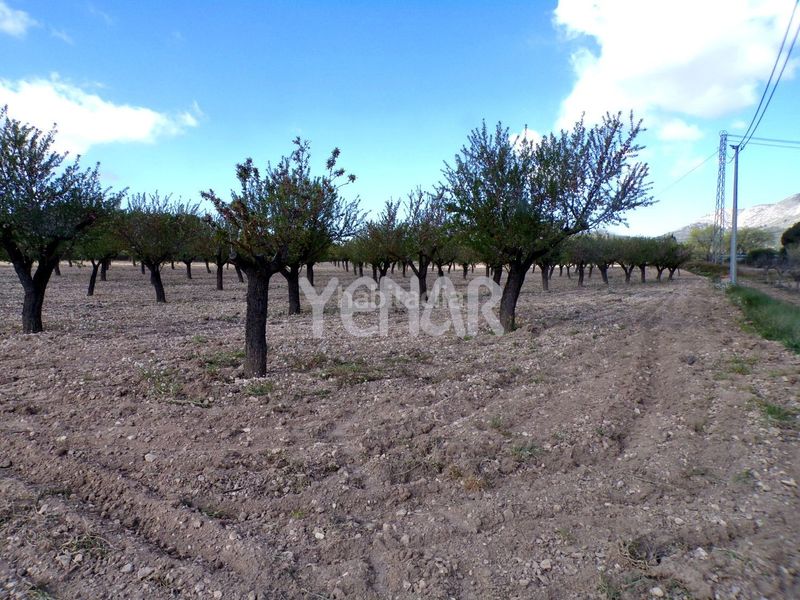 Foto d7e1f550-645e-4c33-aede-c92666be3dac. Terreny residencial a Castalla