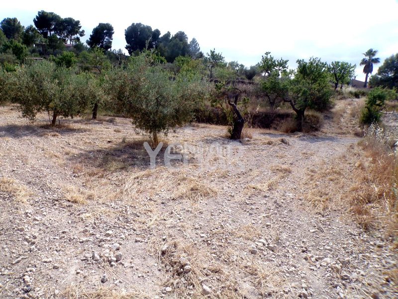 Foto 6886c6e7-eda5-42e3-b580-2ac510dd2b15. Finca rústica a Castalla