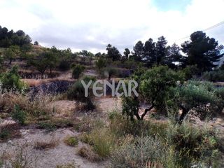 Finca rústica a Castalla. Parcela con olivos en castalla