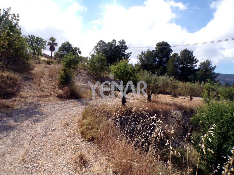 Foto ba76b353-f7ec-4802-8d54-12d301397bd0. Finca rústica a Castalla