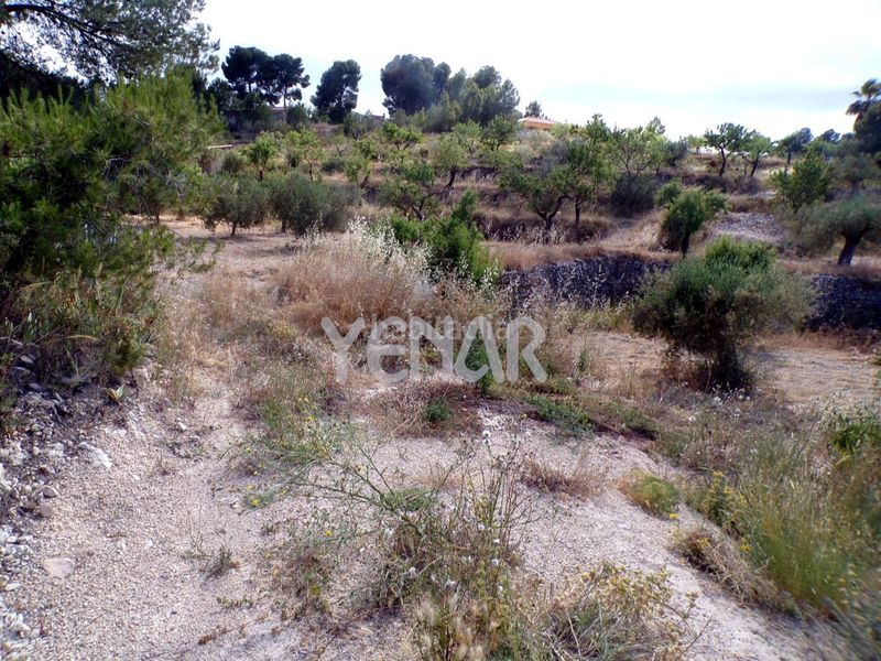 Foto ee248856-bc2e-4fb4-9152-ee393c17b364. Finca rústica a Castalla