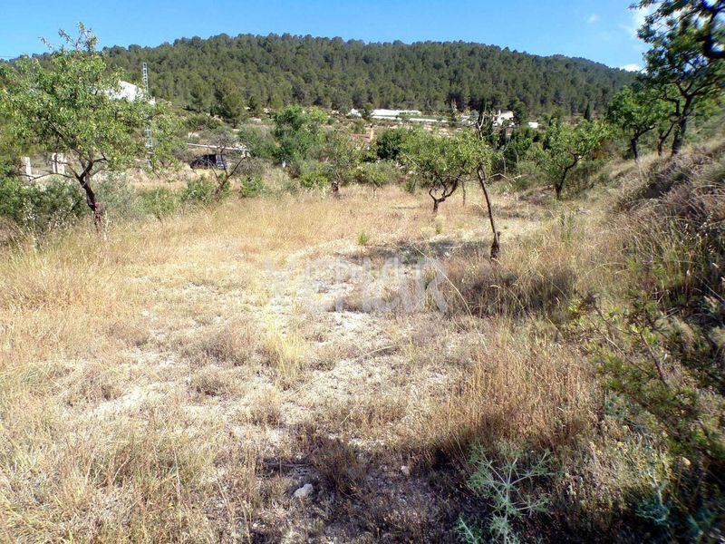 Foto f1de5e50-d7af-4c15-b149-c7e66aafa76b. Finca rústica a Castalla