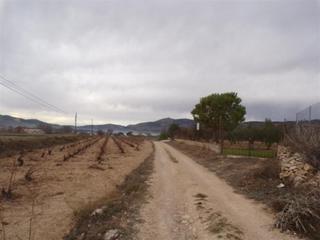 Terreny residencial a Castalla. Terreno de 10.000m2 en onil