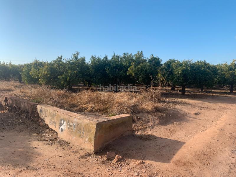 Foto 5e49a2a6-94df-4161-bfa3-4b97ec45f2f4. Finca rústica a partida puntarro 1a a Alfara del Patriarca