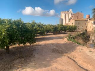 Rural plot  Partida puntarro 1a. Terreno rustico con naranjos solo uso agrícola