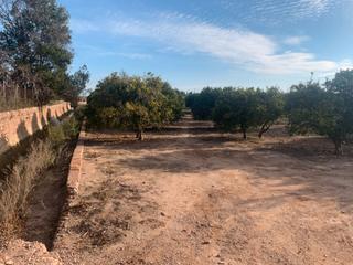 Rural plot  Partida puntarro 1a. Terreno rustico con naranjos riego por acequiaje
