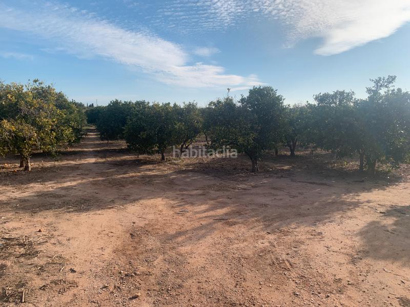 Foto 5cc1b795-098f-4fcb-bfec-df648b5251d6. Fondo rustico in partida puntarro 1a in Alfara del Patriarca