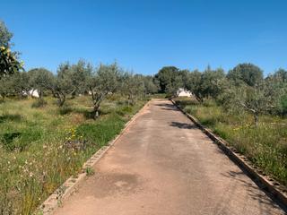 Finca rústica a Carretera servicio canal s/n. Terreno rustico vallado agua de pozo casa de aperos balsa de rie