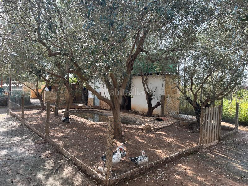 Foto 2a50e3f0-e7c4-4322-9d49-a2aadd9b9699. Finca rústica a Massarojos Valencia