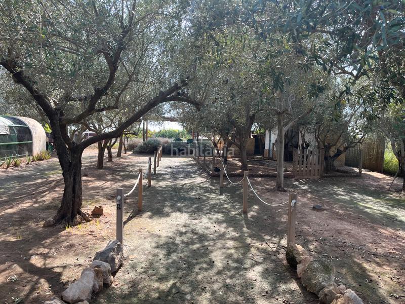 Foto a0a4d61b-8514-42c9-aacd-9c68c0c9528c. Finca rústica a Massarojos Valencia