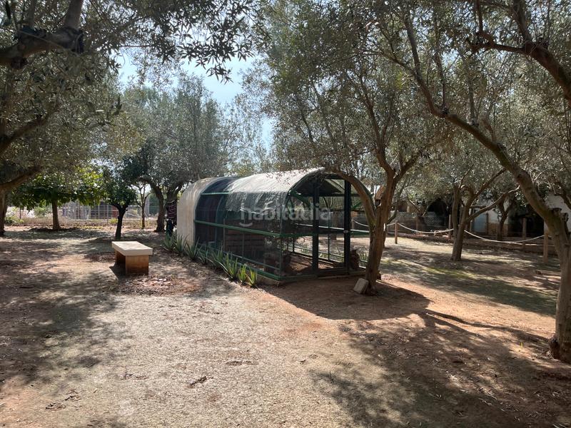 Foto dccd893b-cf82-4d79-85ba-3bf053ae6600. Finca rústica a Massarojos Valencia
