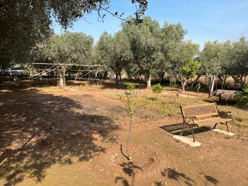 Foto ed88a73a-893a-4721-941a-4942e51e946f. Finca rústica a Massarojos Valencia