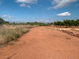 Rural plot  N/a. Parcela rustica agraria