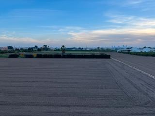 Piso en Benifaraig. 1º sin ascensor entrada independiente por escalerilla terraza ba