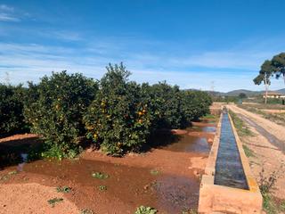Finca rstica en Urbanizacion pla de andanes 24