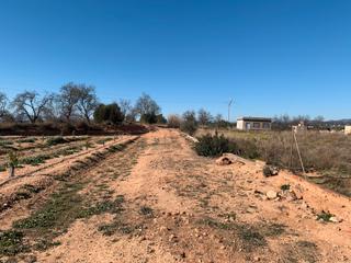 Rural plot in Partida placita d'estepar 101