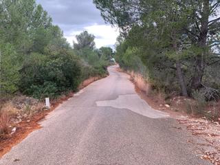 Finca rústica a Plaça poligono n-06.r 502. Terreno rustico agrario proximo a betera y naquera