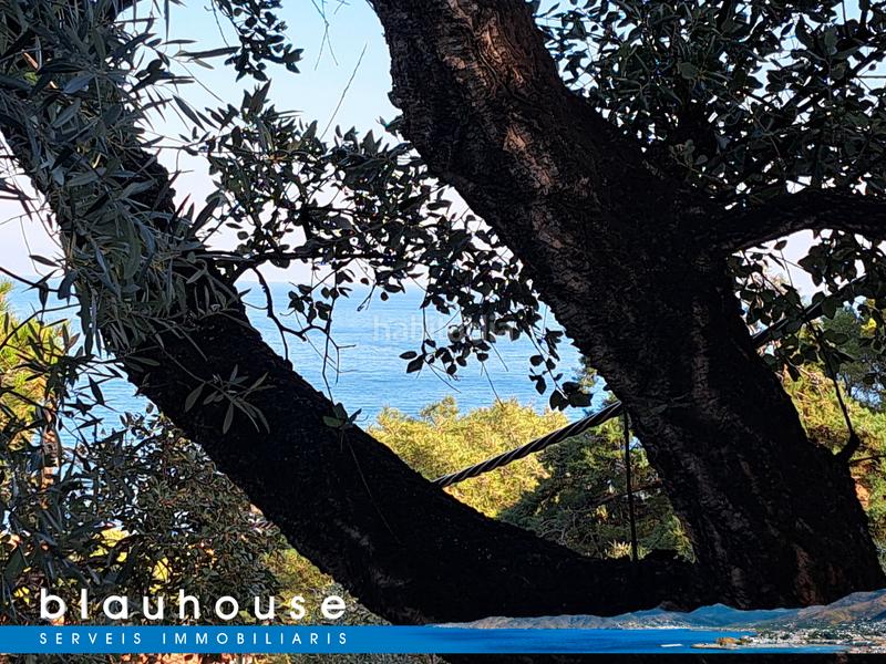 Foto 3e2846ed-11fc-4166-90eb-b1b54b09617e. Casa con camino riscaldamento parcheggio piscina in Port de la Selva (El)