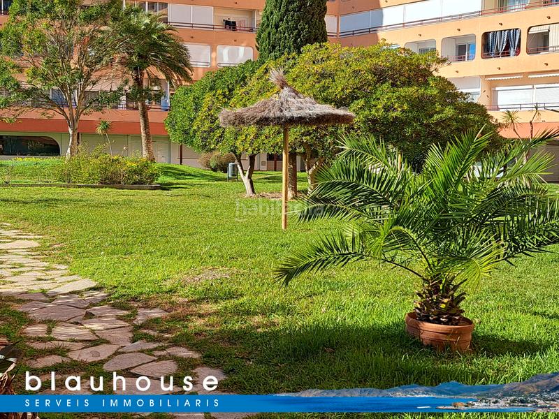 Foto 29774087-223c-493f-a111-01936d832fa5. Studio with pool in Santa Margarida Roses