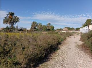 Residential Plot in Suelo polígono 6 parcela 74 valverde bajo. santa  6. Terreno en venta en cv865