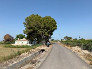Haus  Heredades las. Casa con parcela en almoradi